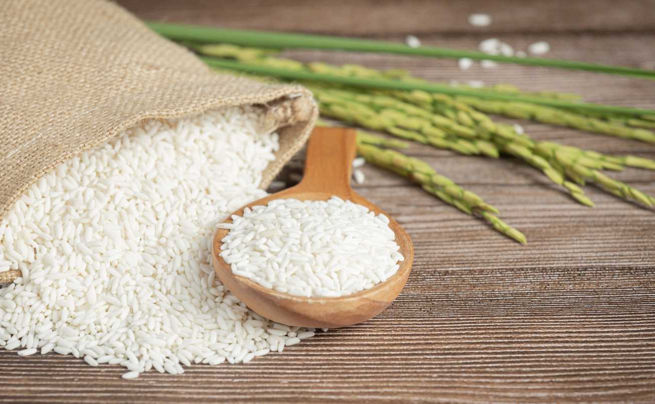 Bea Cukai Klarifikasi 250 Ton Beras Ilegal: Fakta, Kronologi, dan 7 Dampaknya bagi Indonesia