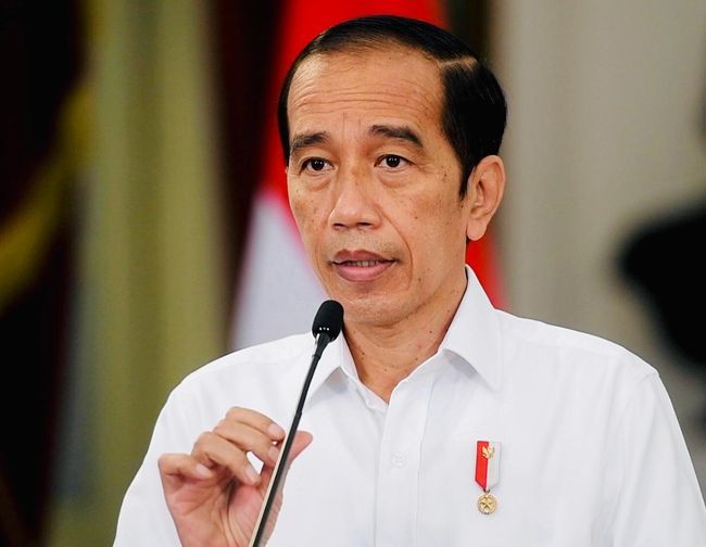 Akhir Masa Jabatan Jokowi: Apakah Pilkada 2024 Akan Tinggalkan Noda dalam Demokrasi?