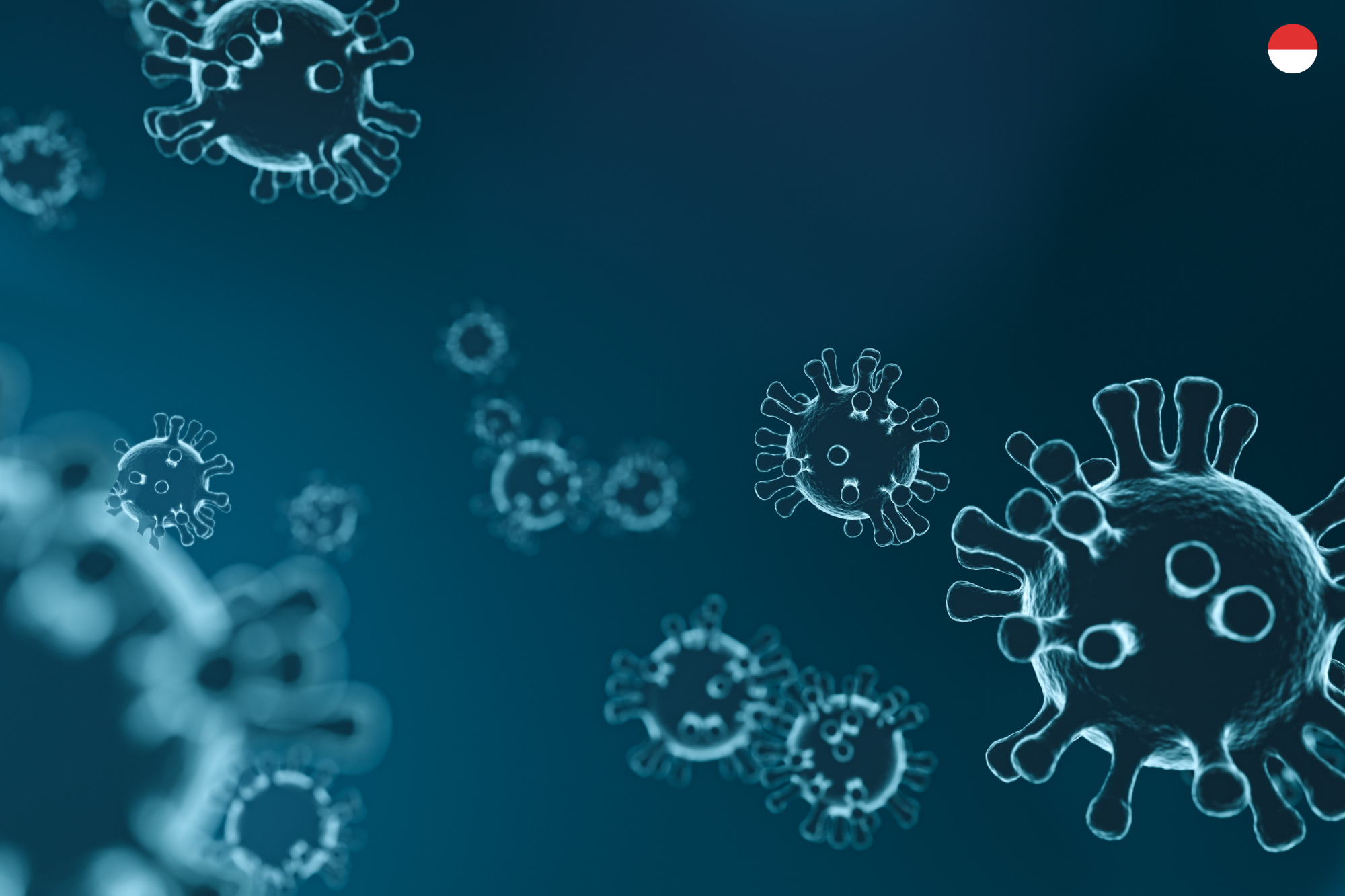 2024: Gila! Mpox Sudah Mengkhawatirkan Indonesia