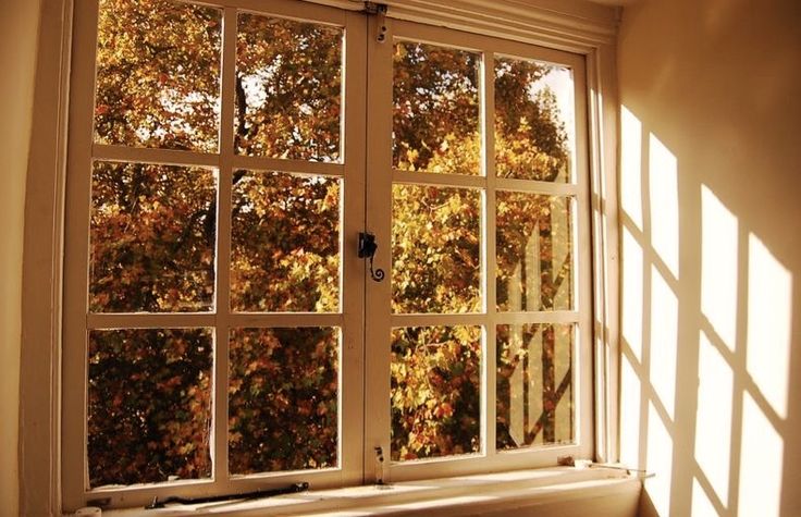 7 Kebiasaan Pagi yang Akan Mengubah Hidupmu Secara Drastis