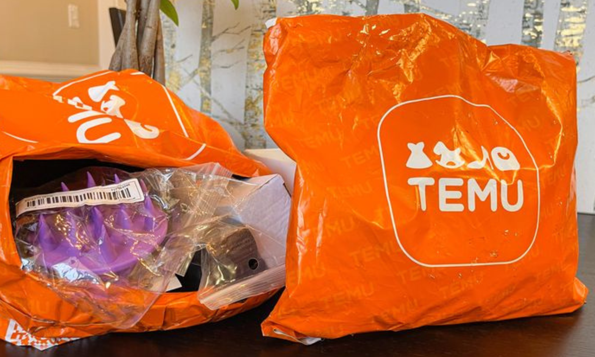 Aplikasi Temu: Ancaman Serius bagi UMKM dan Pekerja, Potensi PHK di Depan Mata