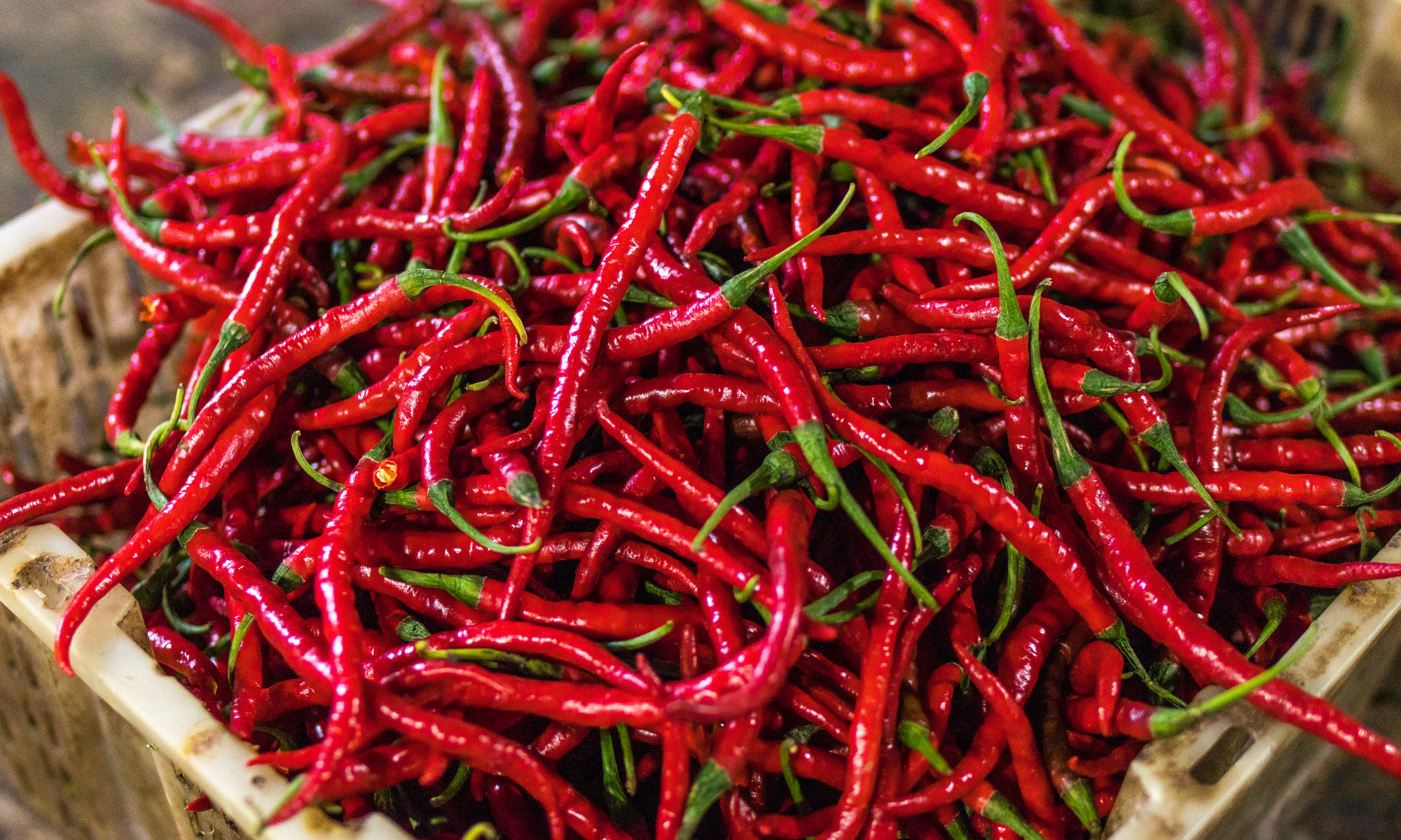 Kementan Bagikan Sayuran Gratis Atasi Anjloknya Harga Cabai