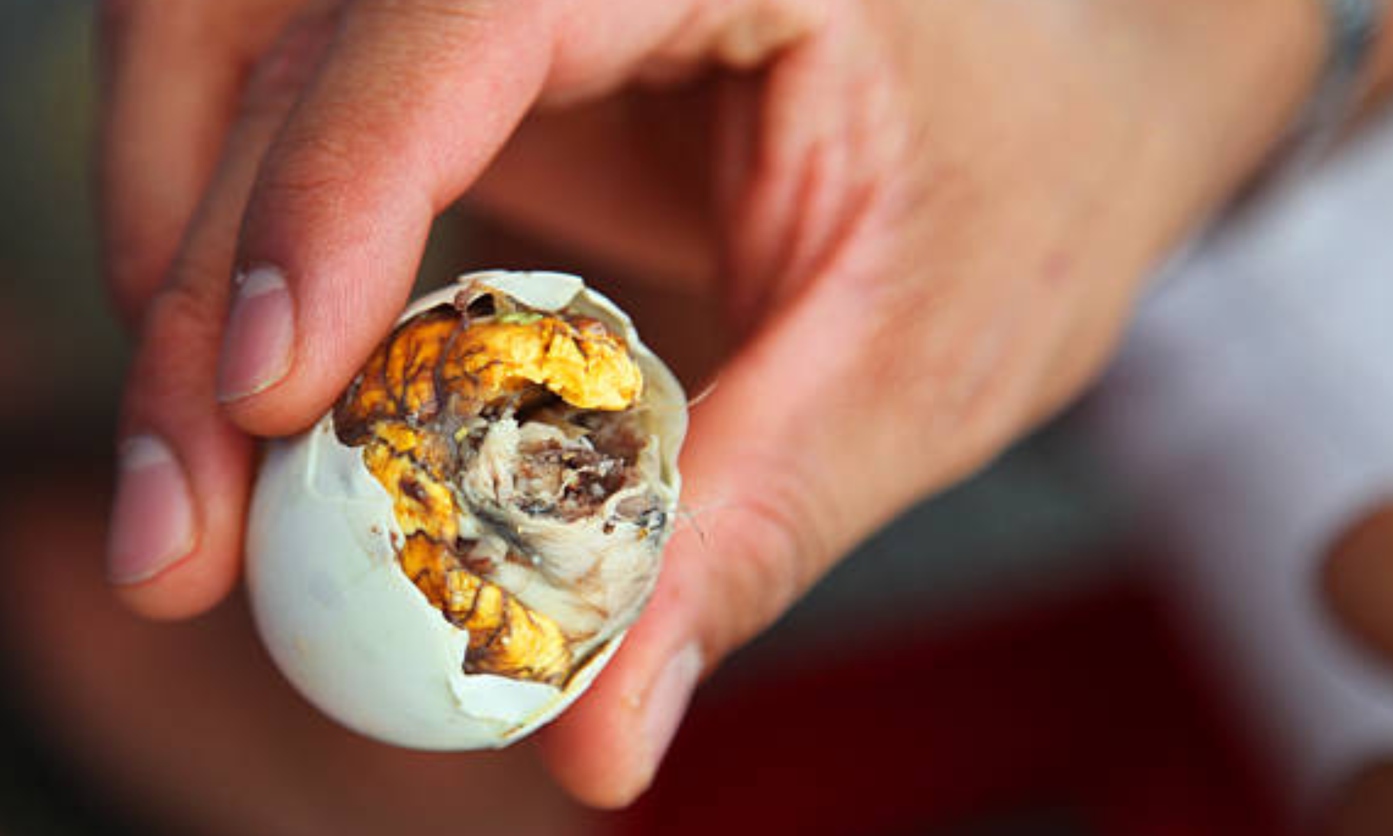 Mengenal Balut, Makanan Khas Filipina