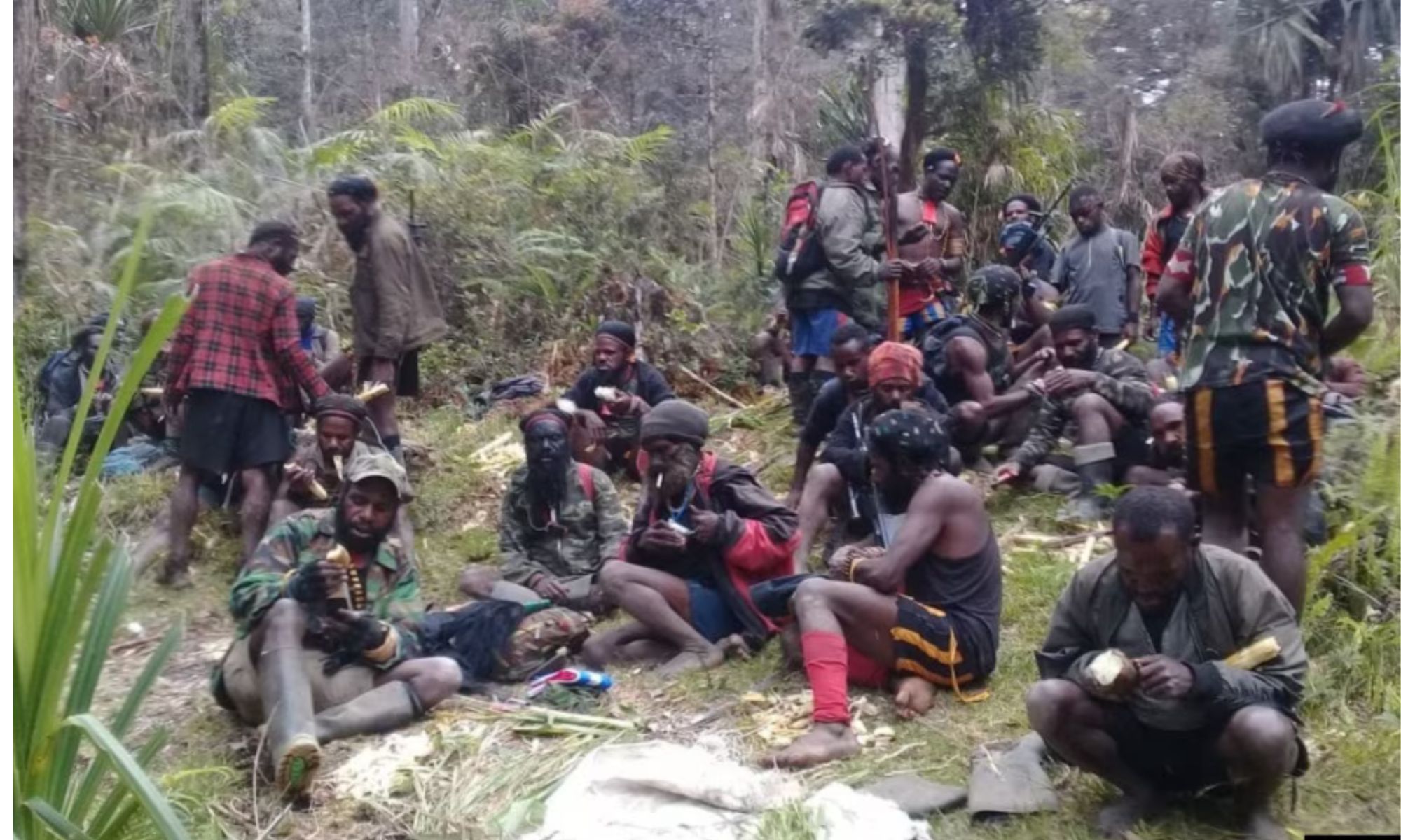 Teror KKB Papua: Evakuasi Korban Terhambat, Rakyat Hidup dalam Ketakutan