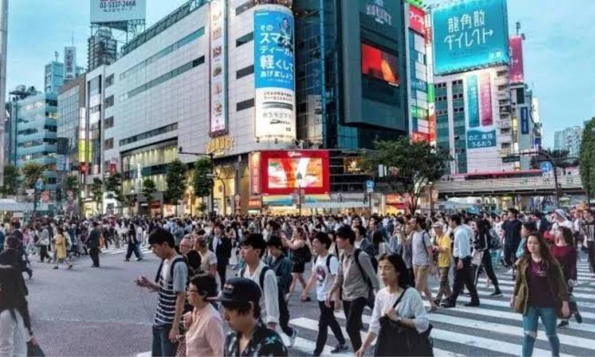 Peluang Emas di Negeri Sakura: Jepang Buka 148 Ribu Lowongan untuk Indonesia, Jakarta Dapat 10.000 Kuota