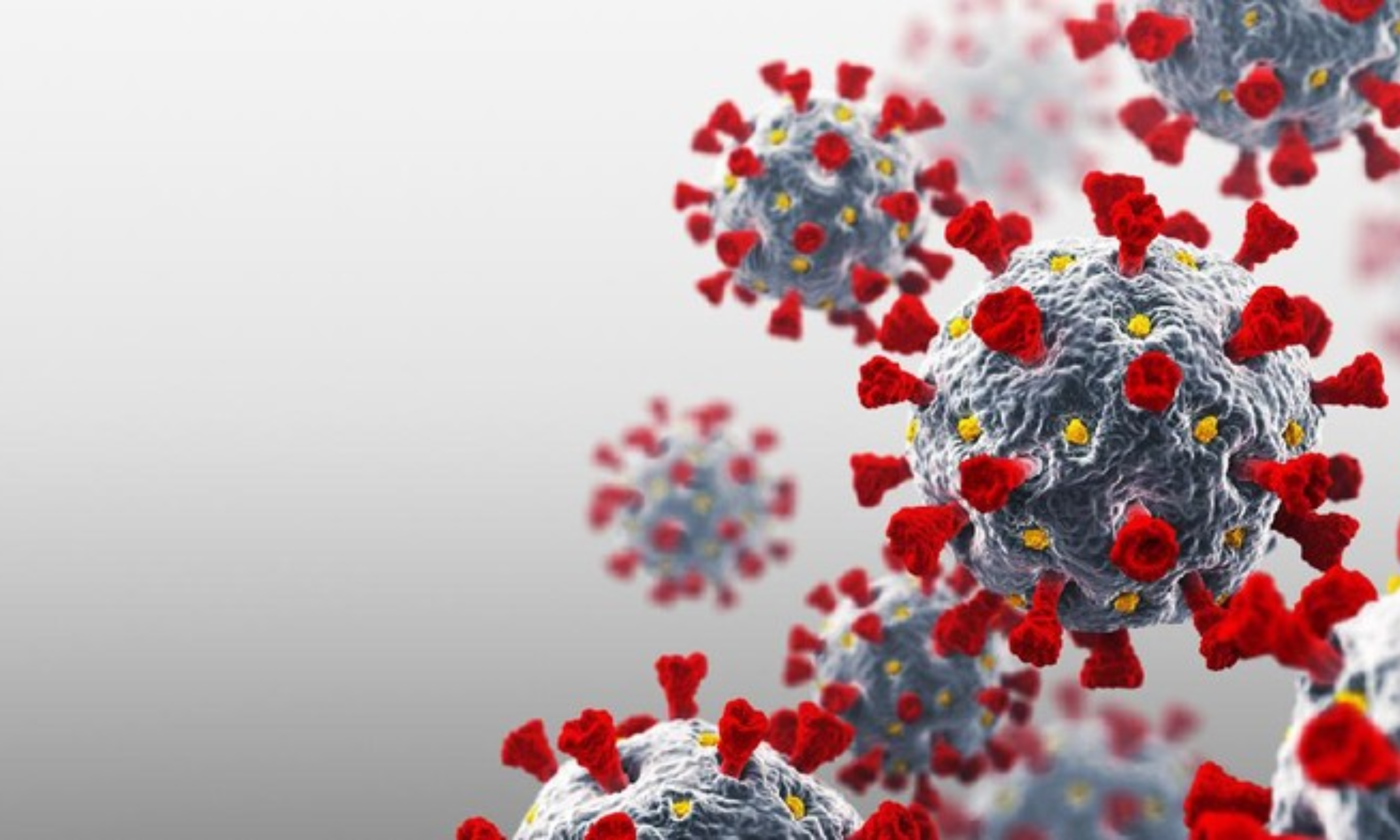 Naik 3X Lipat! 7 Fakta Penting COVID-19 Subvarian JN.1 2025 yang Harus Kamu Tahu