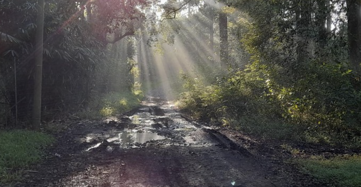 5 Fakta Misteri Asap Gunung Kareumbi: Pertanda Ajaib Musim Hujan atau Bahaya Kebakaran?