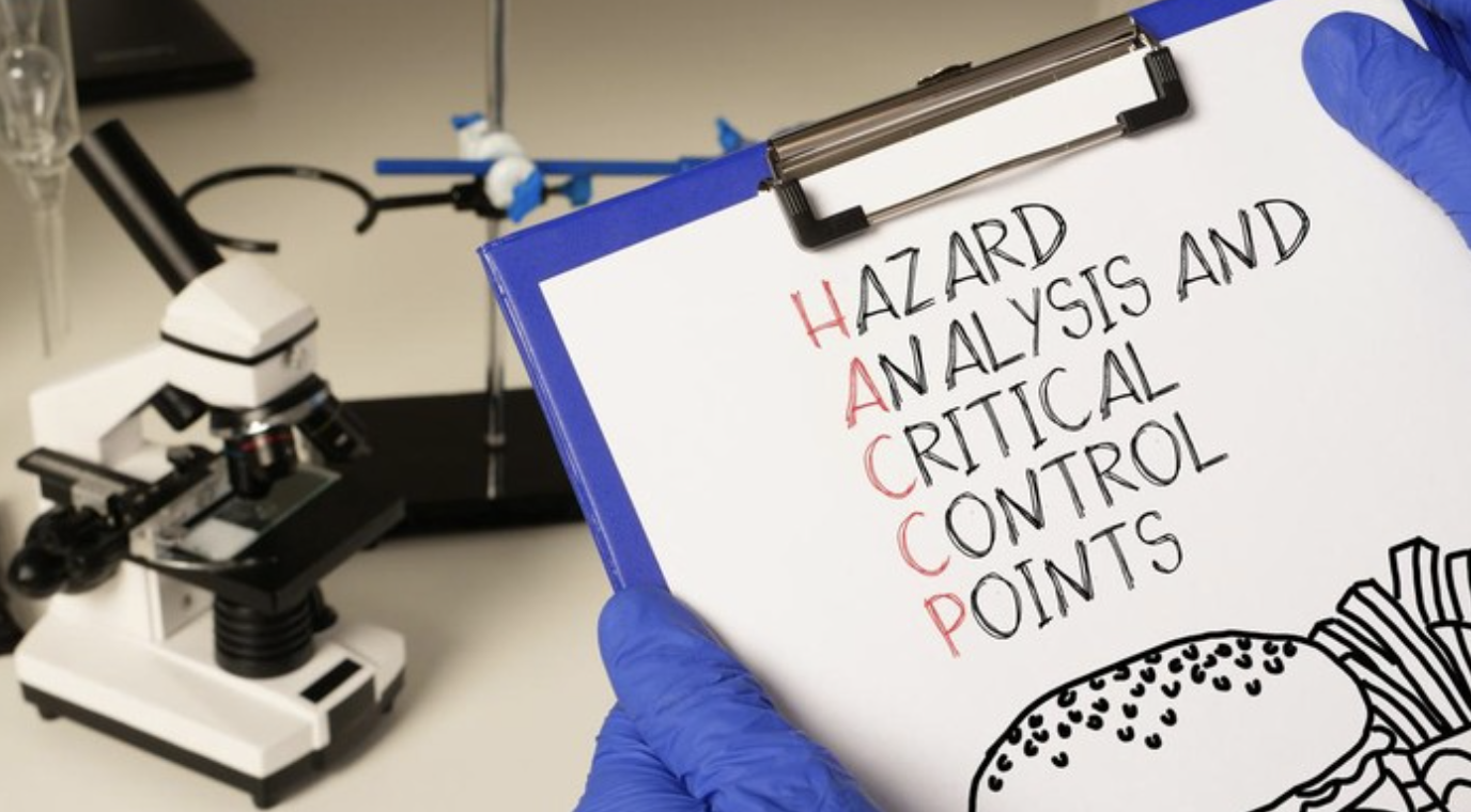 6.517 Kasus Keracunan MBG, Pemerintah Wajibkan Sertifikat HACCP di Semua Dapur