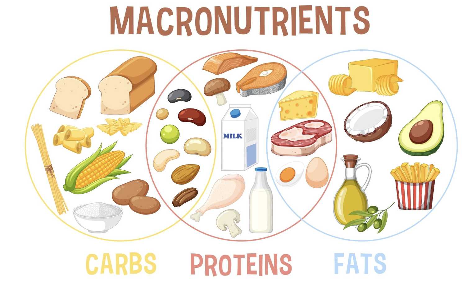 7 Tanda Tubuh Kekurangan Protein yang Harus Diwaspadai, Nomor 3 Mengejutkan!
